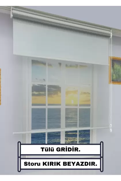 GRİ-DÜZ